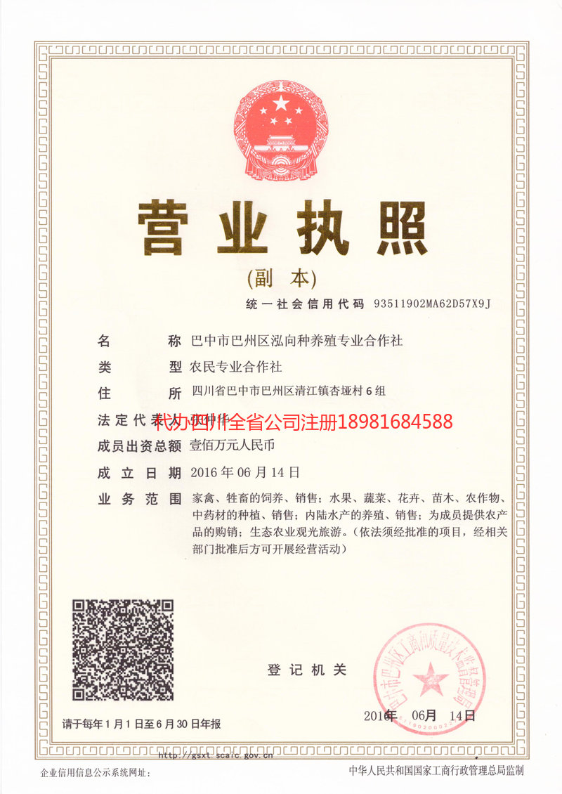 新民新民泓向种养殖专业合作社